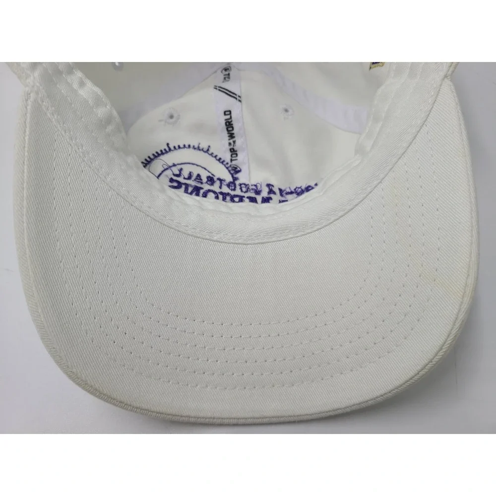 Washington Huskies‎ 2016 Pac 12 Conference Football Champions Strapback Hat Cap